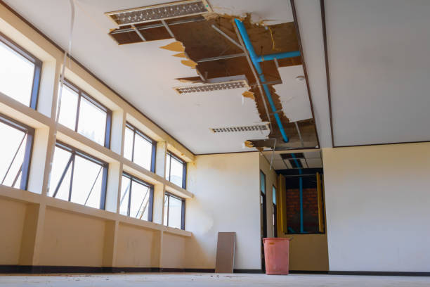 Water damage restoration mold remediation in Naples Park, FL