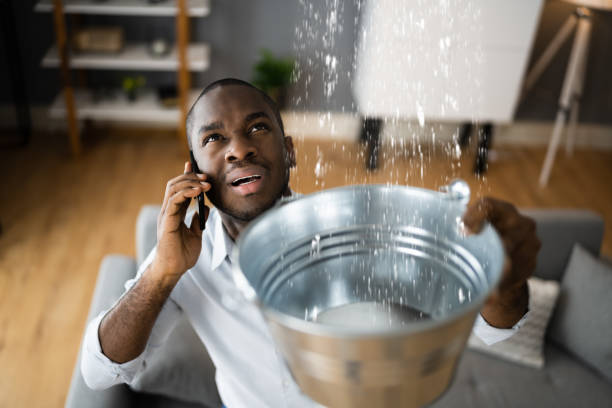 Best Flood damage cleanup  in Naples Park, FL