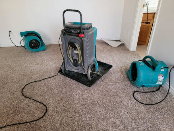Best Professional water damage repair  in Naples Park, FL
