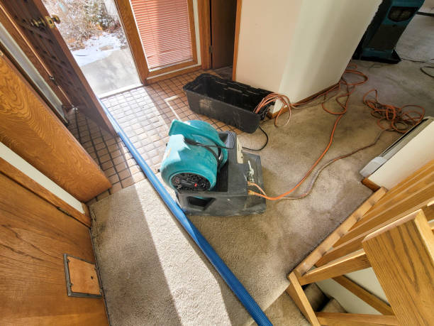 Best 24/7 water damage repair  in Naples Park, FL