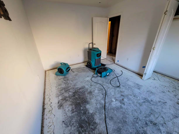 Best Local water damage restoration  in Naples Park, FL