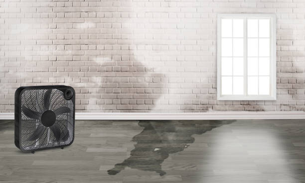 Best Fire Damage Restoration  in Naples Park, FL