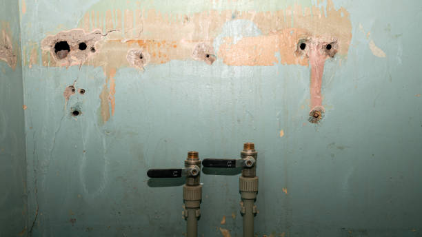 Best Water damage restoration insurance claims  in Naples Park, FL
