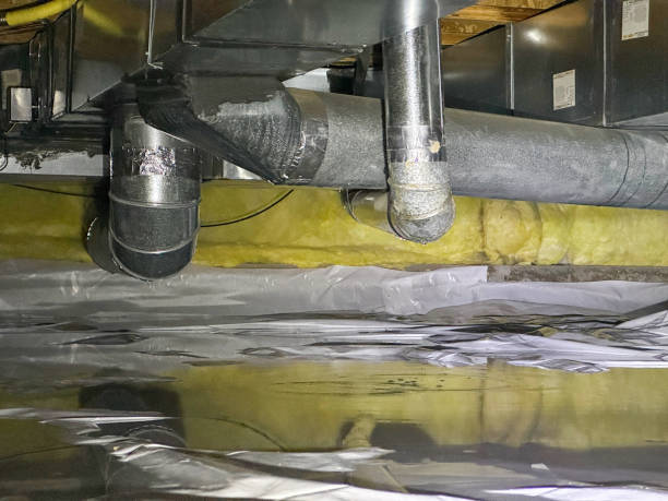 Best Water damage cleanup near me  in Naples Park, FL