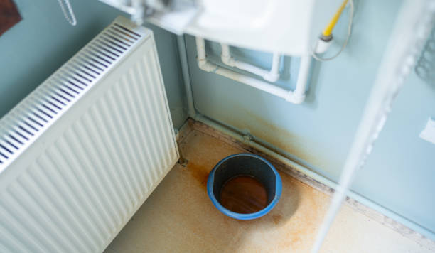 Best Emergency water extraction  in Naples Park, FL