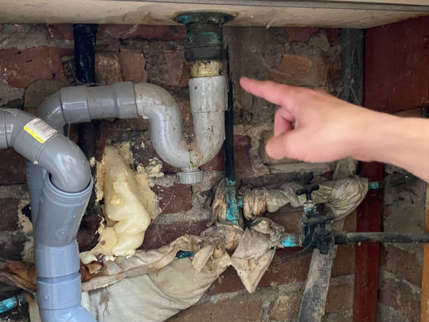 Best Water damage contractors near me  in Naples Park, FL