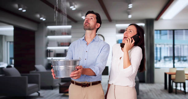 Best Water damage restoration near me  in Naples Park, FL