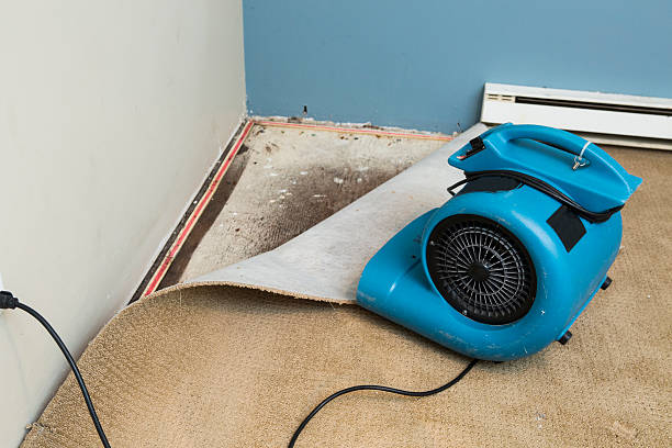 Best Flooded house restoration  in Naples Park, FL